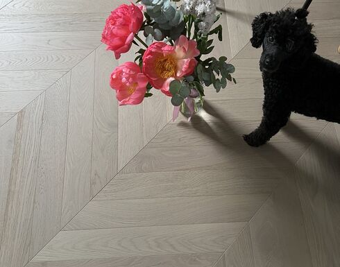 Cozy Apartments in Poland