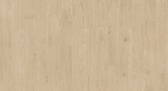 Old Canvas